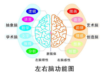 好脑施全脑教育中心